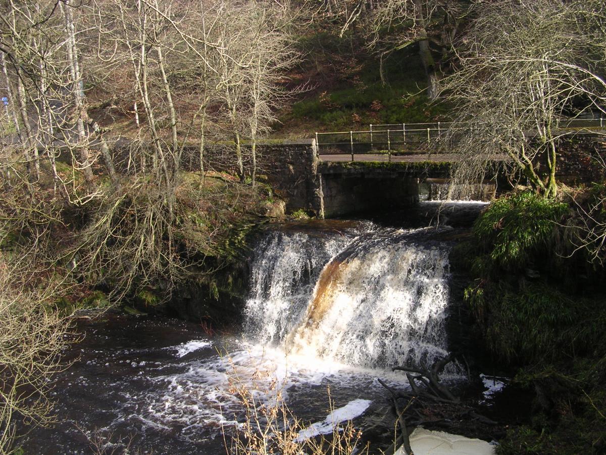 Joined-Up Holidays Bed & Breakfast Hamsterley  Exterior photo